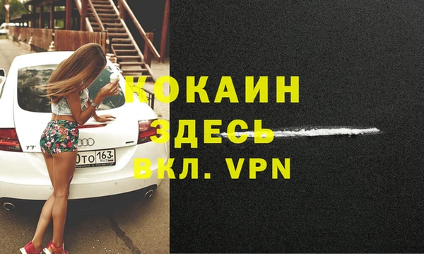 хмурый Абаза