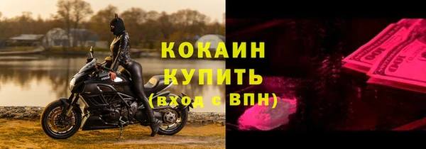 хмурый Абаза