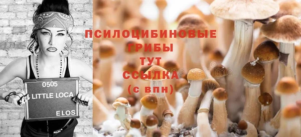хмурый Абаза
